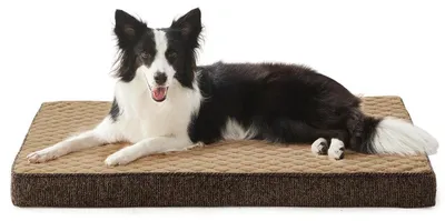 Immagine prodotto di Cuccia ortopedica per cani, 89x56x8 cm, marrone, lavabile, antiscivolo
