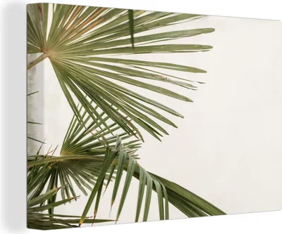 Obrázek produktu pro OneMillionCanvasses® Malba na plátně Nástěnná malba na plátně - Palmové listy - Zelená - Příroda - 150x100cm