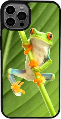 Produktbild von TPU Silikon Hülle für iPhone 13 Mini Handy Cover Case Schutzhülle Handyhülle Bumper MOTIV 268 Frosch Grün
