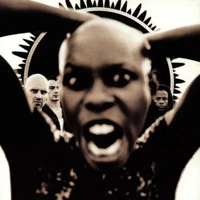 Obrázek produktu pro Skunk Anansie: Stoosh