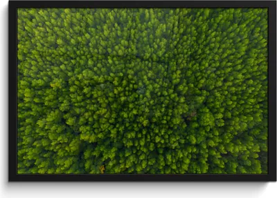 Produktbild von MuchoWow® MuchoWow® Gerahmtes Poster Wald - Baum - Grün 60x40 cm - Poster mit zchwarzem Bilderrahmen - Printing - Wanddeko Schlafzimmer