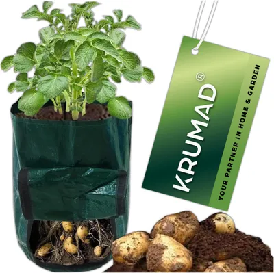 Obrázok produktu pre Torba polipropylenowa na warzywa 34 x 34 cm