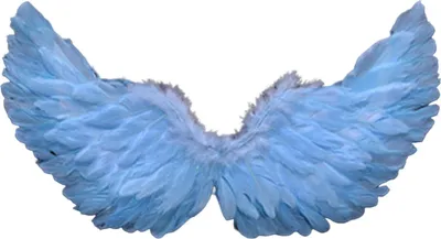 Produktbild von Engel Federflügel mit elastischen Trägern helle Farbe Leichtes Kostüm Cosplay Wings Photography Requisiten-Hellblau