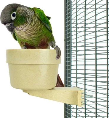 Image de Bol en bambou | verrouillable | Mangeoire abreuvoir | pour tous les perroquets