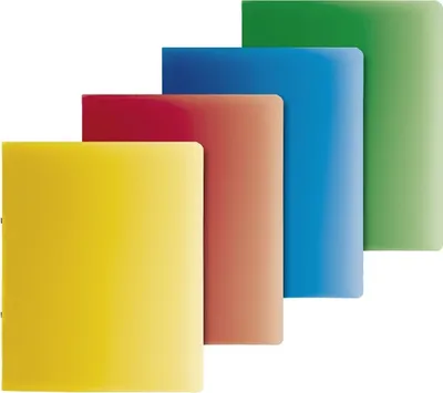 Produktbild von Ringbuch Fact! A4 25mm 2 Ringe farbig sortiert Packung mit 10 Stück