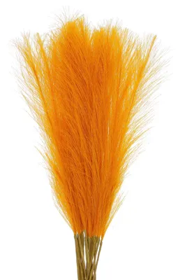 Künstliches Pampasgras 55 cm, 18 Stück, Goldgelb, für Dekoration