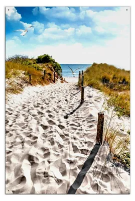 Produktbild von Outdoor-Poster für Garten oder Balkon - Möwen auf dem Weg zum Strand, Motivbanner, Größe: ca. 60 x 90 cm