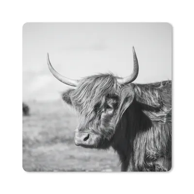 Produktbild von MuchoWow® Mauspad Mousepad Schottischer Highlander - Tiere - Schwarz - Weiß 20x20 cm - Mousepads - Maus Mat - Pad - Mausunterlage - Desk Mat - Bureauartikeln
