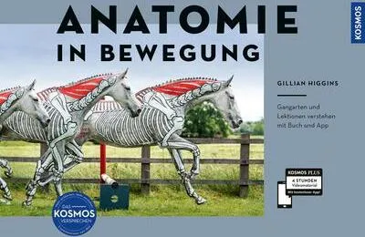 Image de Anatomie in Bewegung
