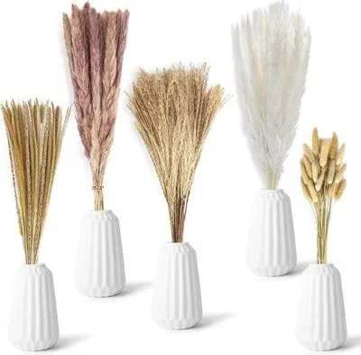 Immagine prodotto di 75 pezzi di erba della pampa naturale, piccole erbe della pampa naturali per vasi, piccole erbe della pampa naturali