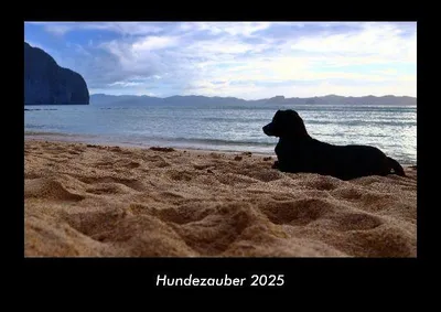 Produktbild von Hundezauber 2025 Fotokalender DIN A3