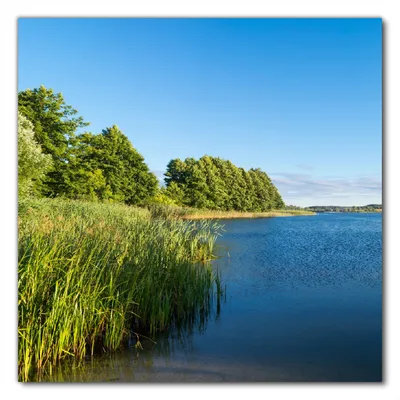 Produktbild von Wallario selbstklebende Möbelfolie/ Tischdecke für Innen und Außen, Größe: 70 x 70 cm - Malerischer See mit Schilf unter blauem Himmel