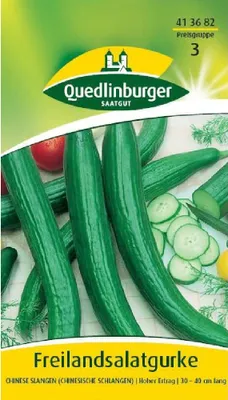 Produktbild von Freilandsalatgurke, Chinese Slangen
