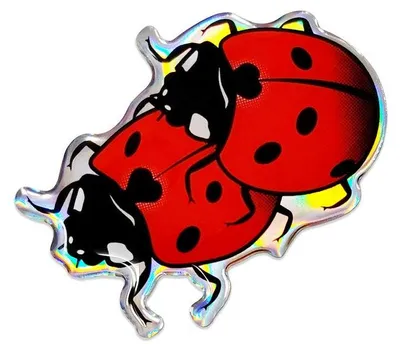 Immagine prodotto di Adesivo coccinella 3D HQ