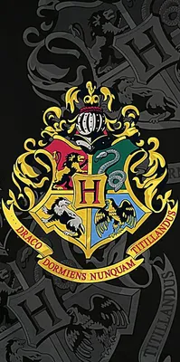 Immagine prodotto di Harry Potter Badetuch Specchio Nero 70x140 cm