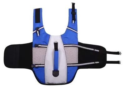 Image de Gilet de sauvetage pour chiens lors d'activités nautiques