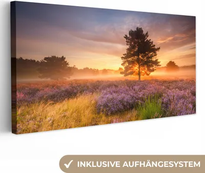 Produktbild von MuchoWow® - Leinwandbilder - Heidelandschaft mit einem Baum, Wandbild, Wanddeko Bilder Wohnzimmer, 80x40cm