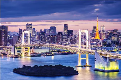 Produktbild von Muralo Fototapete Stadt 270 (B) x 180 (H) cm Vlies Tapete Wandtapete Fluss Regenbogenbrücke Tokio Panorama Brücke Wolkenkratzer Wohnzimmer Schlafzimmer moderne Wandbild Architektur Wand Dekoration