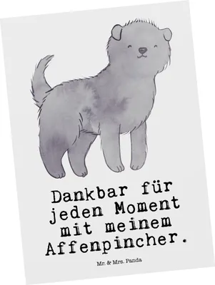 Produktbild von Mr. & Mrs. Panda Grußkarte Affenpincher Moment - Weiß - Geschenk, kunstkarte, Ansichtskarten, Postkarte, bildkarte, Postkarten