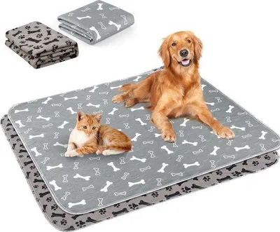 Produktbild von Famanu Trainingspads für Hunde - waschbar und absorbierend - 70 x 80 cm - 2 Stück