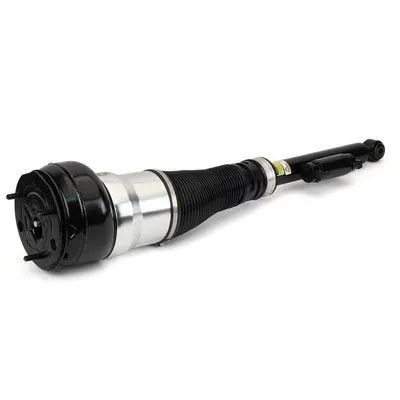 Image de Amortisseur pneumatique Arnott AS-3360, arrière droit, 11,5 kg