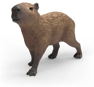 Produktbild von schleich Wild Life Capybara 2,2cm