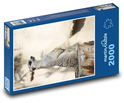 Produktbild von martinpuzzle - Puzzle 2000 Teile - Meerikata