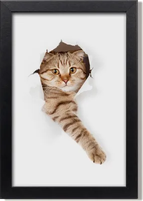 Produktbild von Bild 20x30 MDF-Rahmen, Wandkunst Katze