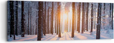 Produktbild von Bild auf Leinwand - Leinwandbild - Wald Winter Schnee - 90x30cm - Wand Bild - Wanddeko - Wandbilder - Leinwanddruck - Bilder - Kunstdruck - Wanddekoration - Leinwand bilder - Wandkunst - AB90x30-3629