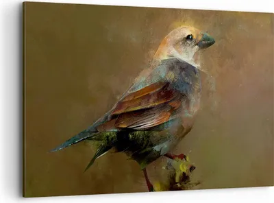 Produktbild von Bild auf Leinwand - Leinwandbild - Vogel Natur - 100x70cm - Wand Bild - Wanddeko - Wandbilder - Leinwanddruck - Bilder - Kunstdruck - Wanddekoration - Leinwand bilder - Wandkunst - AA100x70-3924