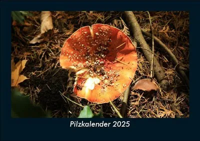 Produktbild von Pilzkalender 2025 Fotokalender DIN A5