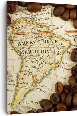 Produktbild von Bild auf Leinwand - Leinwandbild - Einteilig - Südamerika Samen Kaffee - 70x100cm - Wand Bild - Wanddeko - Wandbilder - Leinwanddruck - Wanddekoration - Leinwand bilder - Wandbild - PA70x100-2198