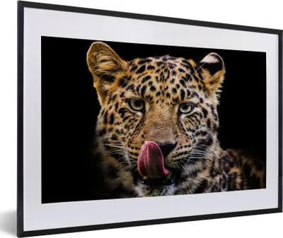 Produktbild von MuchoWow® MuchoWow® Gerahmtes Poster Leopard - Schwarz - Nahaufnahme 60x40 cm - Poster mit zchwarzem Bilderrahmen - Schlafzimmer - Plakat in Rahmen - Drucken