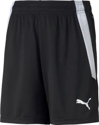 Obrázek produktu pro Kalhoty Puma Teamliga 70493103