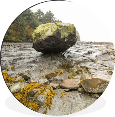 Produktbild von MuchoWow® Aluminium Wandkreis Felsen am Strand von Haida Gwaii in Kanada Ø 60 cm Wanddeko Modern Wohnzimmer - Wand Kreis - Wandbild - Schlafzimmer - Aluminium Bild - Kinderzimmer - Wohnzimmer Dekoration - Wandschmuck