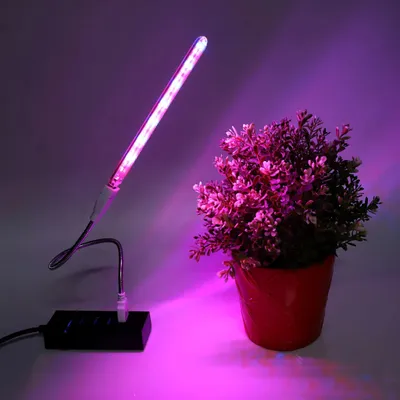 Produktbild von USB LED Pflanzenlampe Full Spectrum Wachstumslampe Pflanzenlicht für Zimmerpflanzen Gemüse Blumen