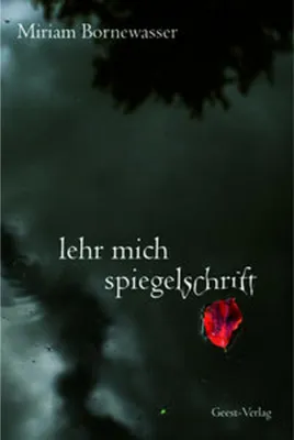 Immagine prodotto di lehr mich spiegelschrift