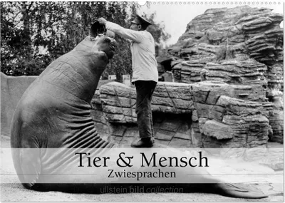 Produktbild von Tier und Mensch - Zwiesprachen (Wandkalender 2025 DIN A2 quer), CALVENDO Monatskalender