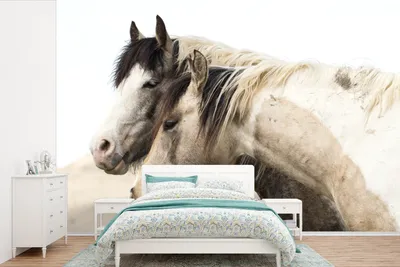 Produktbild von MuchoWow® Fototapete für Wohnzimmer oder Schlafzimmer Wandtapete Vinyl Motivtapete Porträt von zwei Wildpferden - 525x350 cm - Das Hintergrundbild