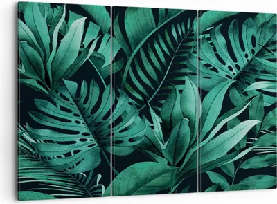 Produktbild von Bild auf Leinwand - Leinwandbild - 3 Teile - Blätter Grafiken Monstera - 105x70cm - Wand Bild - Wanddeko - Wandbilder - Leinwanddruck - Bilder - Wanddekoration - Leinwand bilder - CE105x70-4886