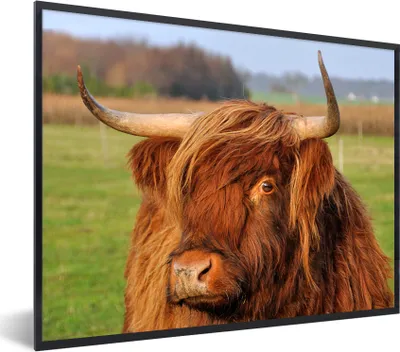 Produktbild von MuchoWow® Gerahmtes Poster Schottischer Highlander - Gras - Baum 80x60 cm - Poster mit Schwarzem Bilderrahmen Wandposter Rahmen Foto Bilder - Schwarzem - Mit Gestell