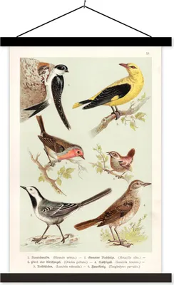 Produktbild von MuchoWow® Textilposter Vogel - Vintage - Zeichnung 120x180 cm mit schwarzem Rahmen - Fotos