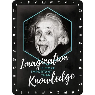 Zdjęcie produktu dla Metalowy Plakat 15 X 20Cm Einstein Imagination