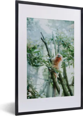 Produktbild von MuchoWow® MuchoWow® Gerahmtes Poster Zwergseidenäffchen im Baum 40x60 cm - Poster mit zchwarzem Bilderrahmen - Poster in Rahmen