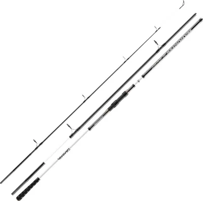 Immagine prodotto di Daiwa Seahunter X Surf 4.20m 100-250g