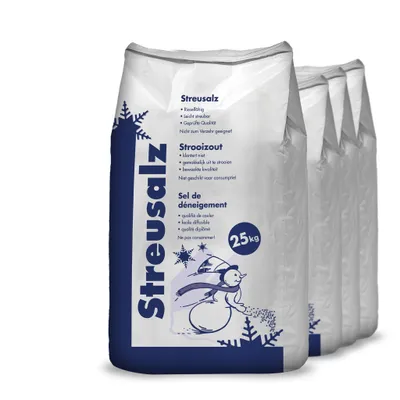 Produktbild von Hamann Streusalz 100 kg (4 x 25 kg)