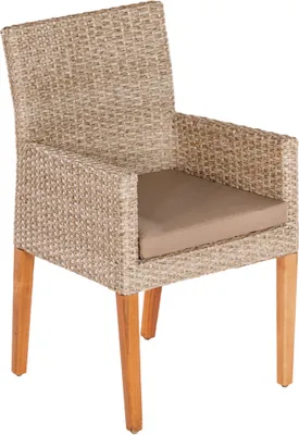 A single armchair with a cushion, shown from a front-diagonal angle.