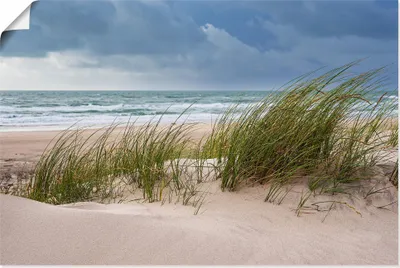 Produktbild von ARTland Poster Düne und Strand bei Hirtshals Dänemark I Größe: 120x80 cm