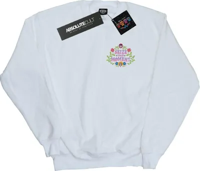 Produktbild von Disney - "Coco Seize Your Moment" Sweatshirt für Herren BI16041 (XL) (Weiß)