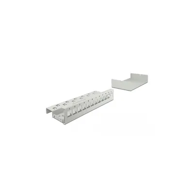 Produktbild von Delock Keystone Patchpanel 12 Port grau
